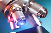 Microscope stage and lenses