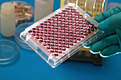 Multiwell plate with biological samples