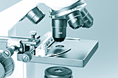 Light microscope stage and lenses
