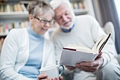 Senior couple reading book