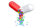 Probiotic capsule, conceptual illustration