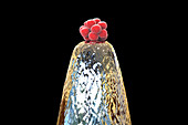 Human blastocyst on a pin tip, conceptual illustration