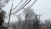 Freezing rain covering power lines