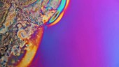 Aspirin crystallisation, time-lapse microscopy footage