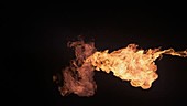 Flamethrower flames, high-speed footage