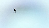 Close up of cursor on screen