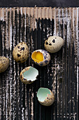 Still life of quail eggs