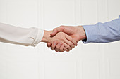 A man and a woman shaking hands (body language: open handshake)