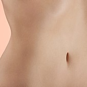 Woman's abdomen