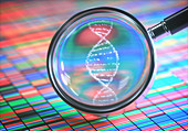 DNA sequencing and magnifying glass, illustration