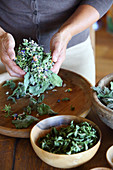 Hände mischen getrocknete Blüten und Blätter zum Tee