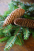 Conifer branches and cones