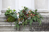Grave arrangement of conifer twigs, hellebores, Gaultheria berries, pine cones and silver ragweed