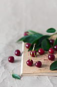 Freshly picked cherries