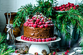 Chocolate cake with raspberry and pine branches for Christmas