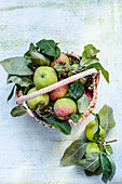 Frische Äpfel mit Blättern im Korb