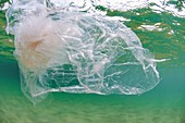 Plastic floating in ocean