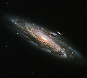 NGC 5559 spiral galaxy, HST image