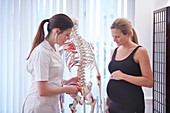 Osteopath with pregnant woman