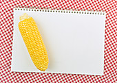 Corn cob on notebook