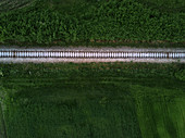 Railway track, aerial view