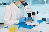 Microbiology research
