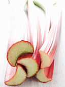 Rhubarb, Close Up