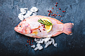 A raw pink tilapia on a dark surface (seen from above)