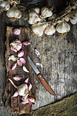 Opened garlic bulbs on tree bark and garlic wreath on rustic wooden surface
