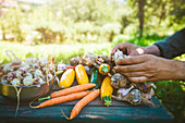 Farmers hands with freshly harvested organic vegetables
