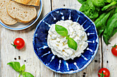 Ricotta cheese with fresh basil and cherry tomatoes