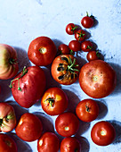 Verschiedene frisch geerntete Tomaten (Aufsicht)