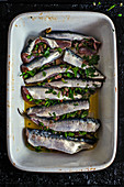 Raw stuffed sardines (seen from above)