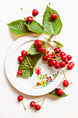 Cherries and cherry leaves on a white plate