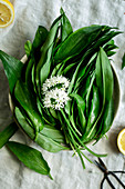 Bowl of wild garlic leaves with wild garlic flowers on a light surface