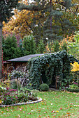 Schuppen mit Holzlager und Efeu bewachsen in herbstlichem Garten