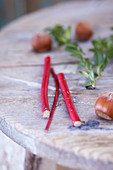 Natural craft materials: red twigs, hazelnuts and sprigs of box