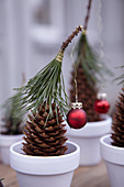 Pine cones festively decorated with hats of conifer needles and miniature baubles