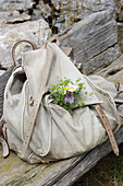 Wanderrucksack mit kleinem Wildblumensträusschen auf Holzbank