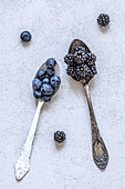 Blueberries and blackberries in tablespoons of Melchior spoons
