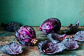 Violet cabbage with leaves
