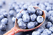 Old wooden spoonful of blueberries over on deep blue background with blueberries