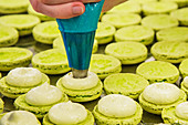 Pistachio macarons filled with cream