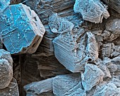 Borax crystals, SEM