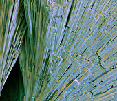 Malachite crystals, SEM