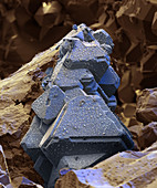 Maltildite mineral crystals, SEM