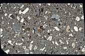 Rhyolite mineral rock crystals, polarised light micrograph