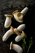 King trumpet mushrooms on a dark surface
