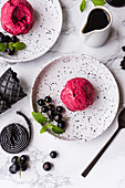 Liquorice ice cream with blackcurrants on white dessert plates
