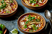 Vegetarische Tortilla-Suppe (Mexiko)